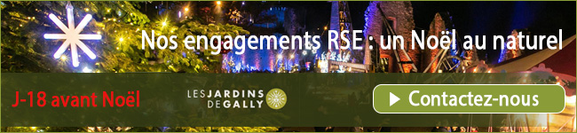 Jardins de Gally pour un Noël responsable