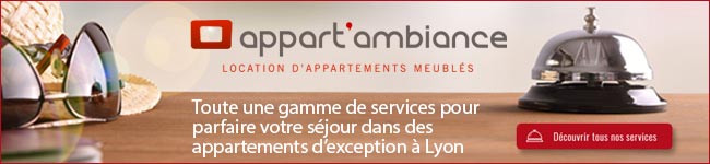 location appartements meublés au coeur de lyon